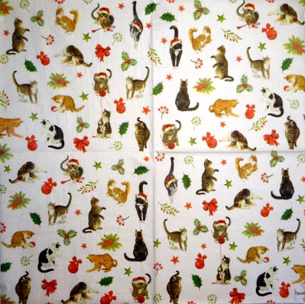 999.177 Cats - 3-ply - Marque Deposee 2008 - Clouet